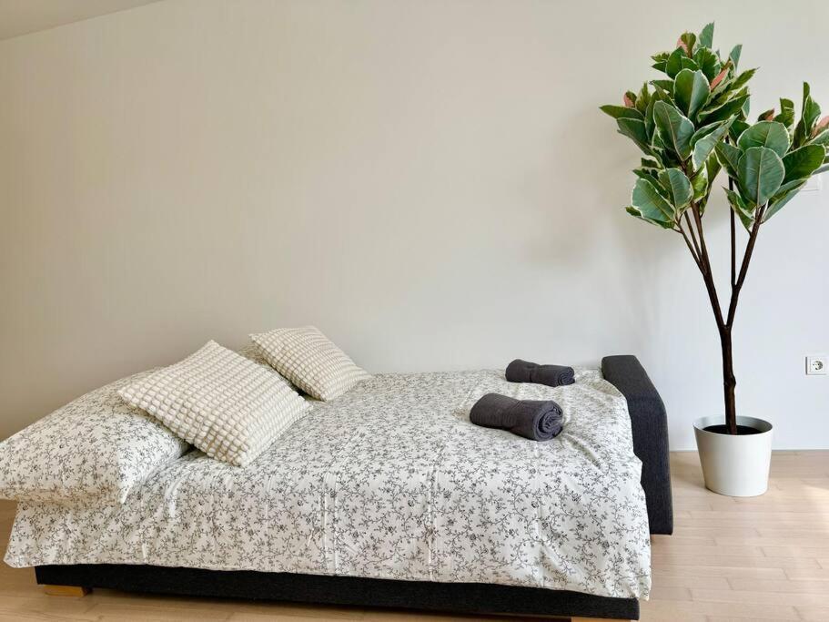 85 M2 Modern With Free Parking Apartment Wien
